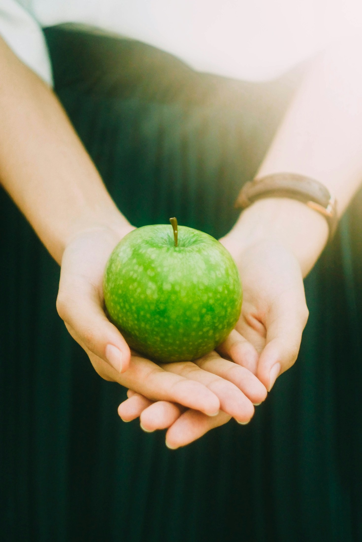 Alimentação Balanceada: O Primeiro Passo para o Bem-Estar