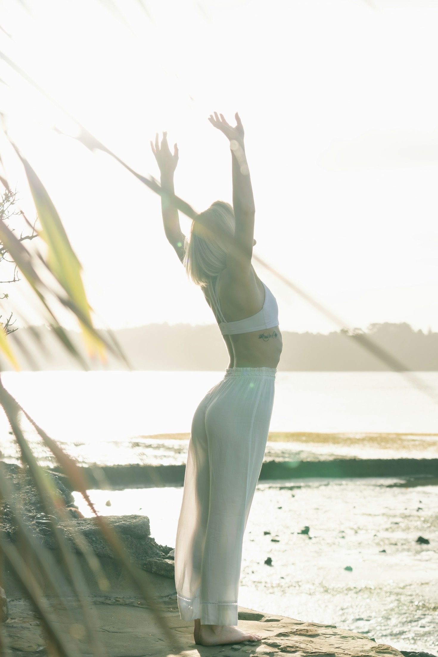 Meditação e Seus Benefícios para o Corpo e Mente